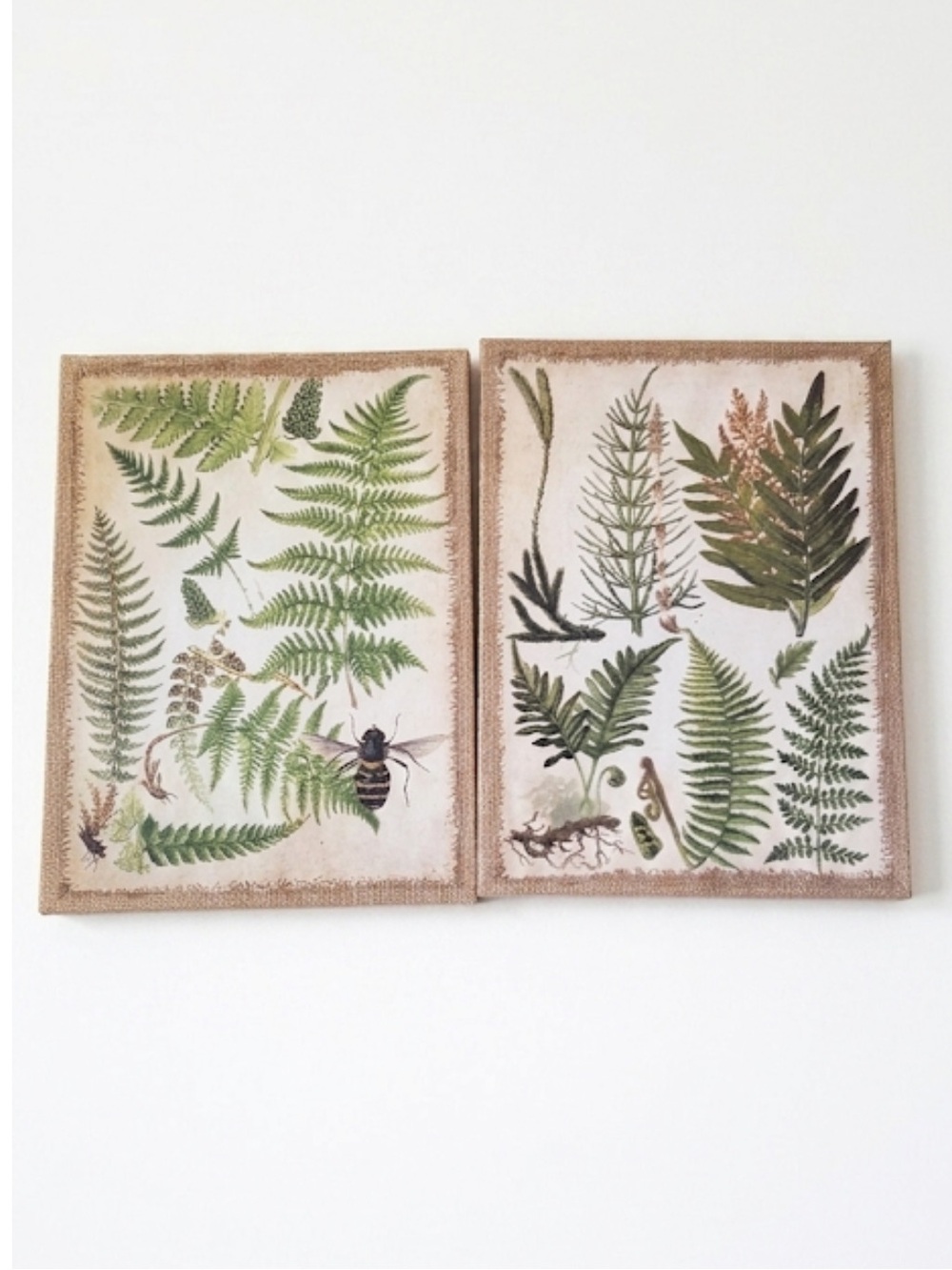NWT Melrose International Botanical Burlap Wall Art Set of 2 Fern Canvas Print